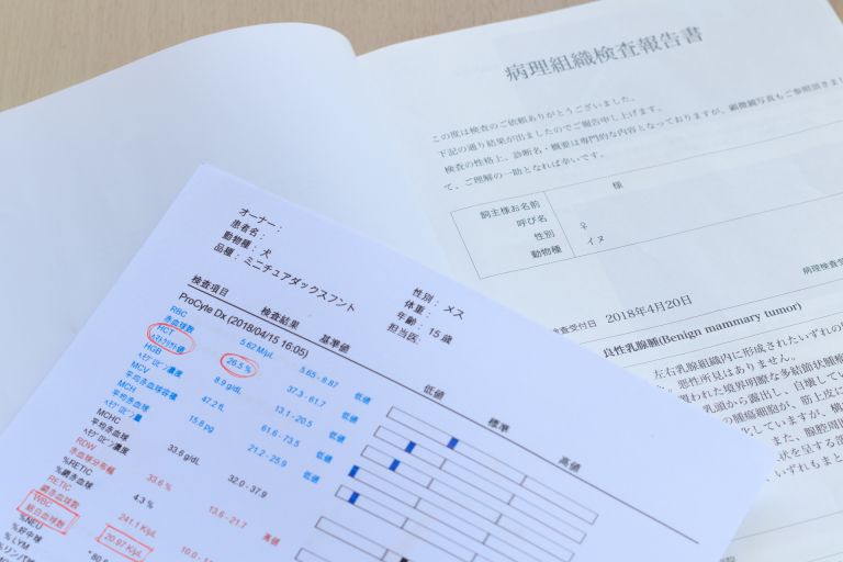 シンガポールの健康管理とワクチンの重要性
